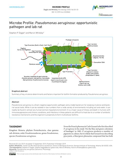 Microbe Profile: Pseudomonas aeruginosa: opportunistic .